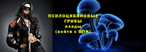 Альфа ПВП Инта