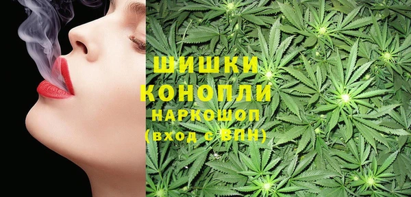 ПСИЛОЦИБИНОВЫЕ ГРИБЫ Зеленокумск