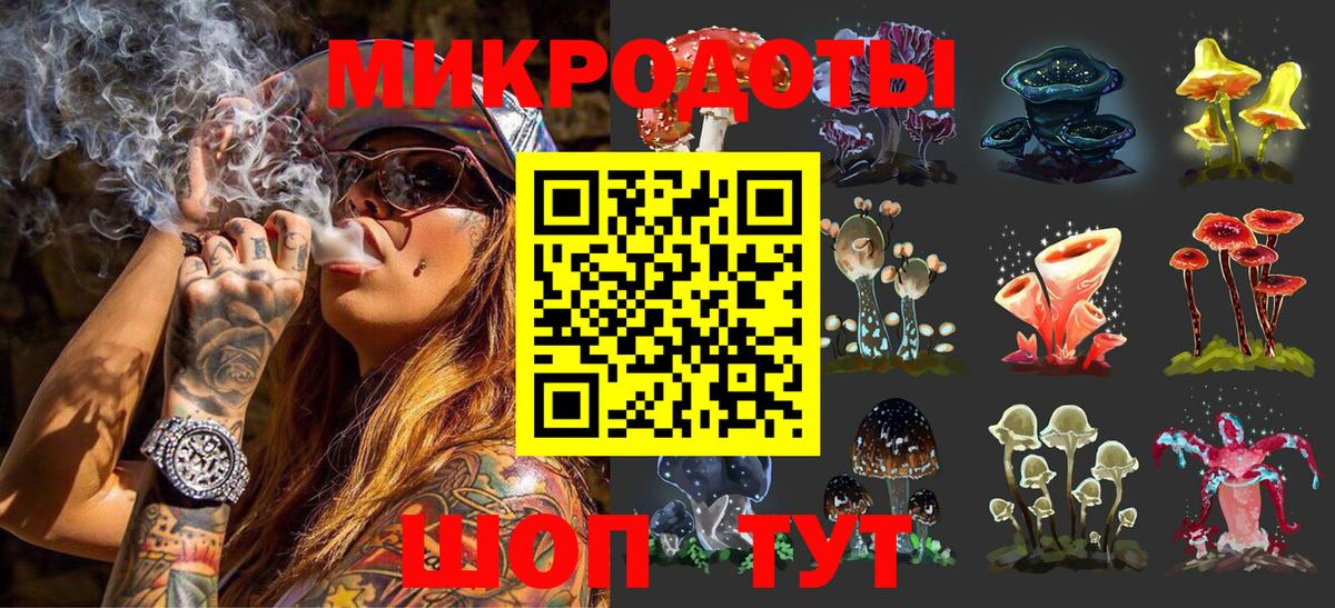 Волжский  Псилоцибиновые грибы Psilocybine cubensis  купить закладку  Вход с VPN 