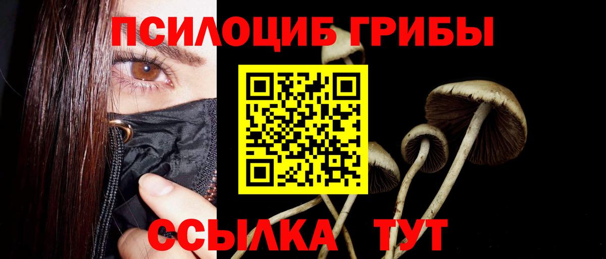 Галлюциногенные грибы MAGIC MUSHROOMS  Волжский 