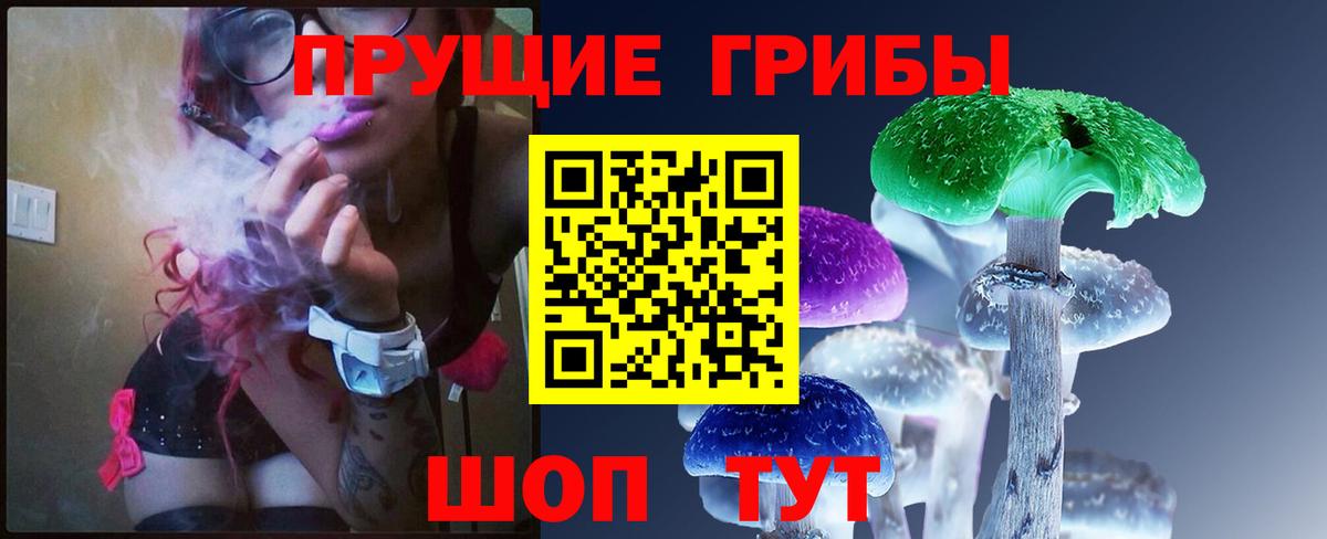 Псилоцибиновые грибы GOLDEN TEACHER Волжский