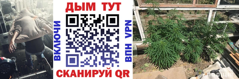 MEGA зеркало Волжский Шишки марихуана планчик